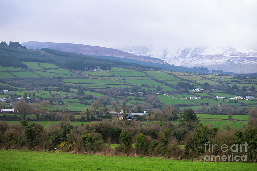 Farm Photograph - Green fields in wintry Ireland by Les Palenik