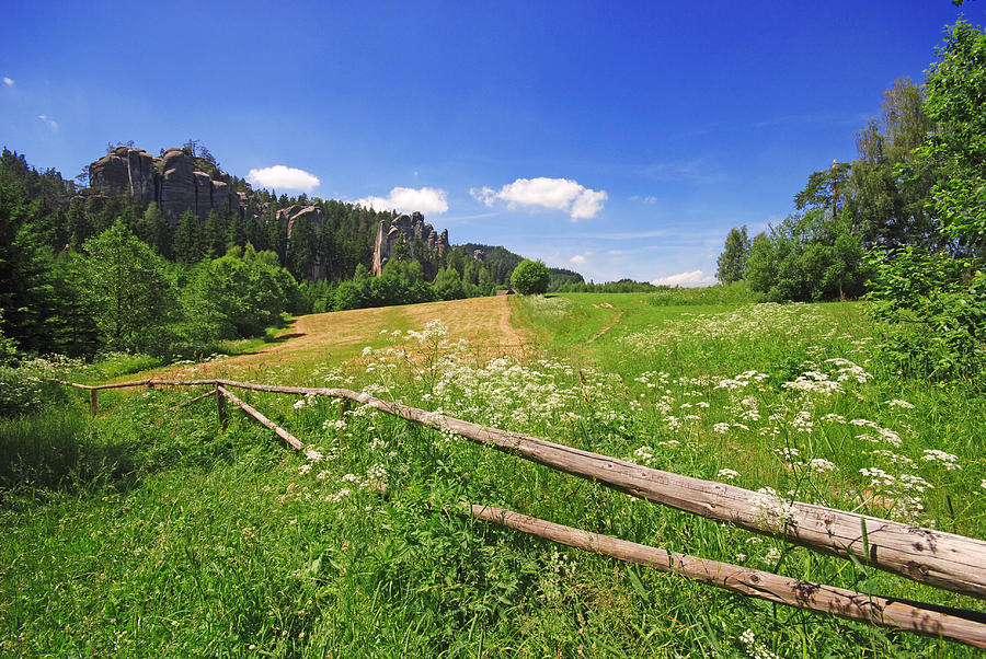 Green Fields Photograph by Jaroslaw Grudzinski