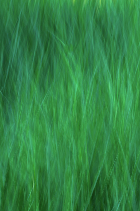 Green Fire 2 by Brad Koop Green Fire 2 by Brad Koop