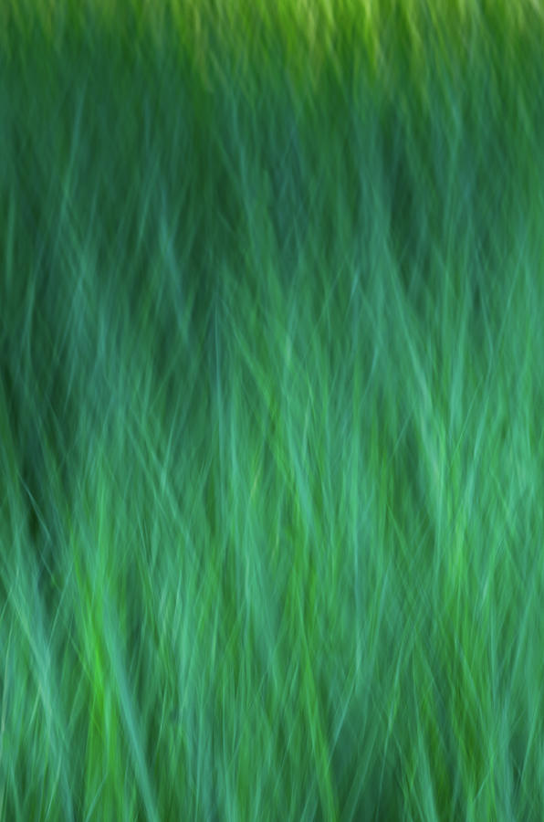 Green Fire 3 by Brad Koop Green Fire 3 by Brad Koop