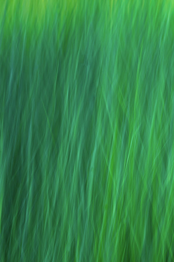 Green Fire 6 by Brad Koop Green Fire 6 by Brad Koop