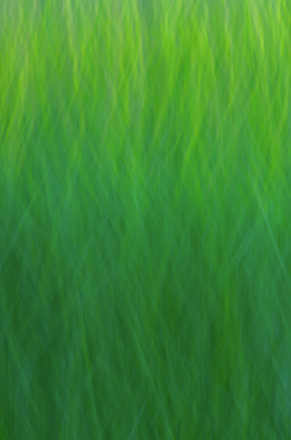 Green Fire 7 by Brad Koop Green Fire 7 by Brad Koop