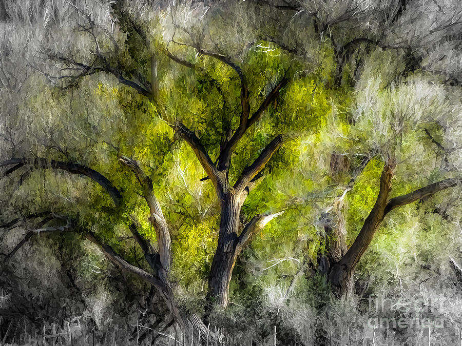 Brush Photograph - Green Fire Trois by Margaux Dreamaginations