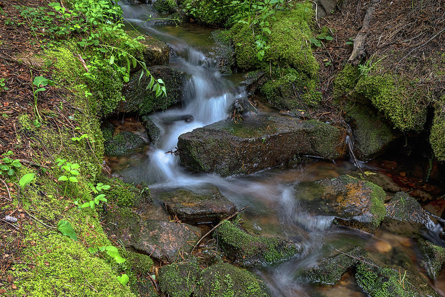 Green Flowing Stream Photograph by James BO Insogna