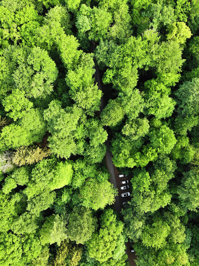 Green forest in spring with small cars aerial view Photograph by Matthias Hauser