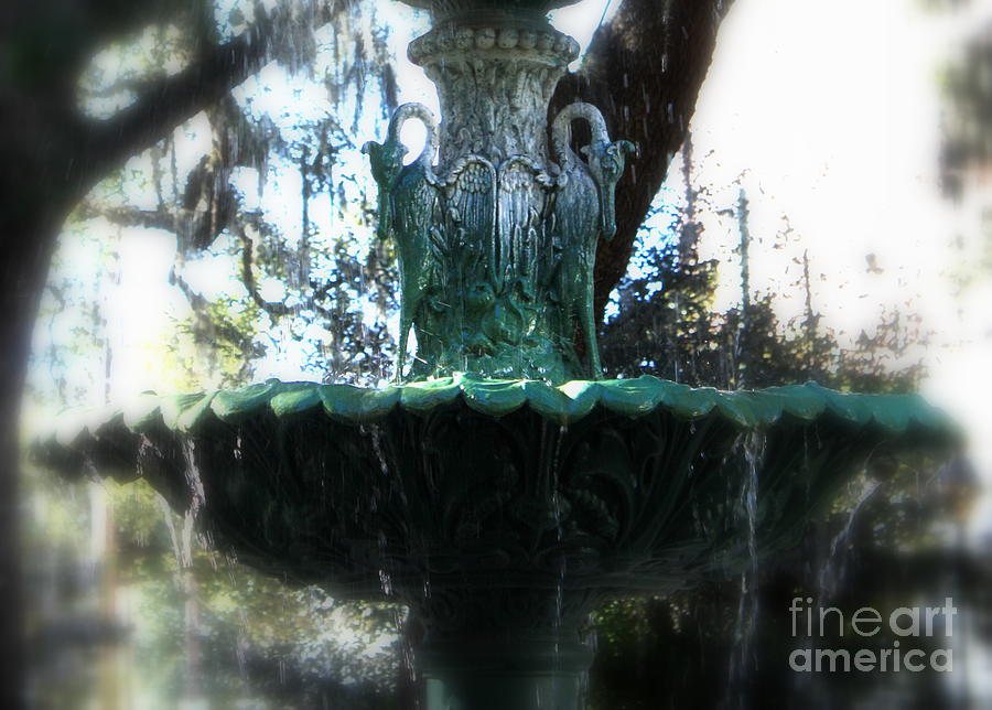Green Fountain Photograph by Carol Groenen
