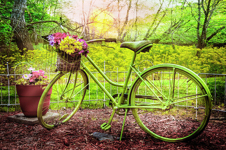 Green Garden Bike Photograph by Debra and Dave Vanderlaan