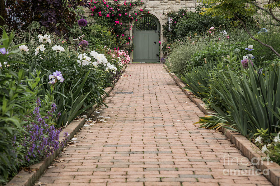 Green Garden Door Photograph by Lynn Sprowl