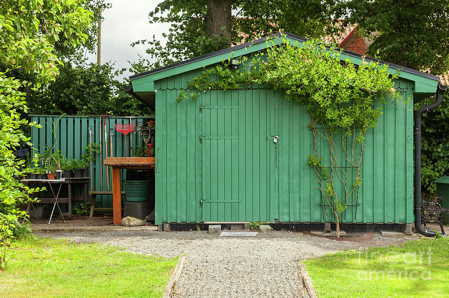 Green garden shed Photograph by Sophie McAulay