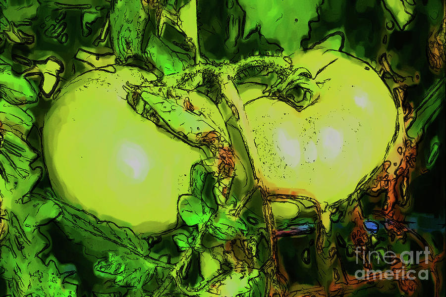 Green Garden Tomatoes Digital Art by Smilin Eyes Treasures