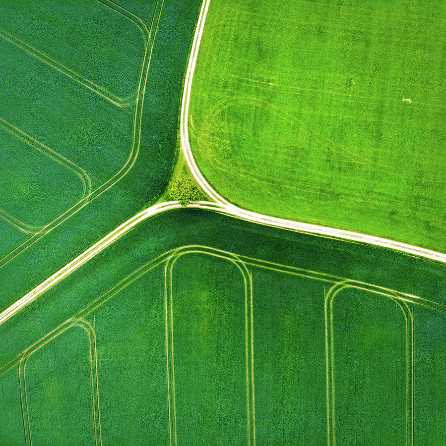 Nature Photograph - Green geometric nature with lines aerial view by Matthias Hauser
