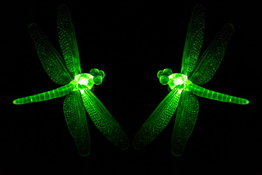 Green Glass Ornament Dragonflys Glowing at Night Photograph by John Williams
