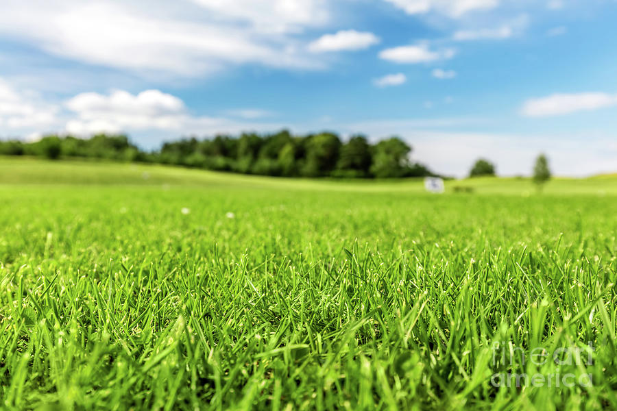 Green golf course with blue sky. Photograph by Michal Bednarek