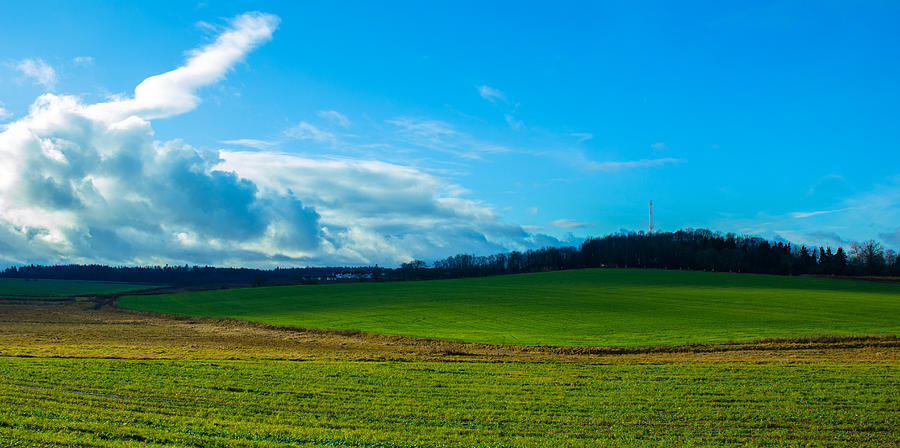 Green grass and blue sky with white clouds Photograph by Valery Rudnev