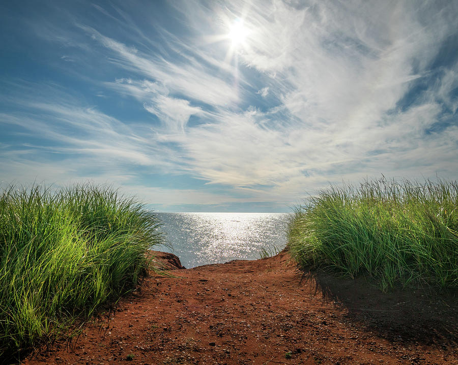 Green Grass and Red Sand Photograph by Chris Bordeleau