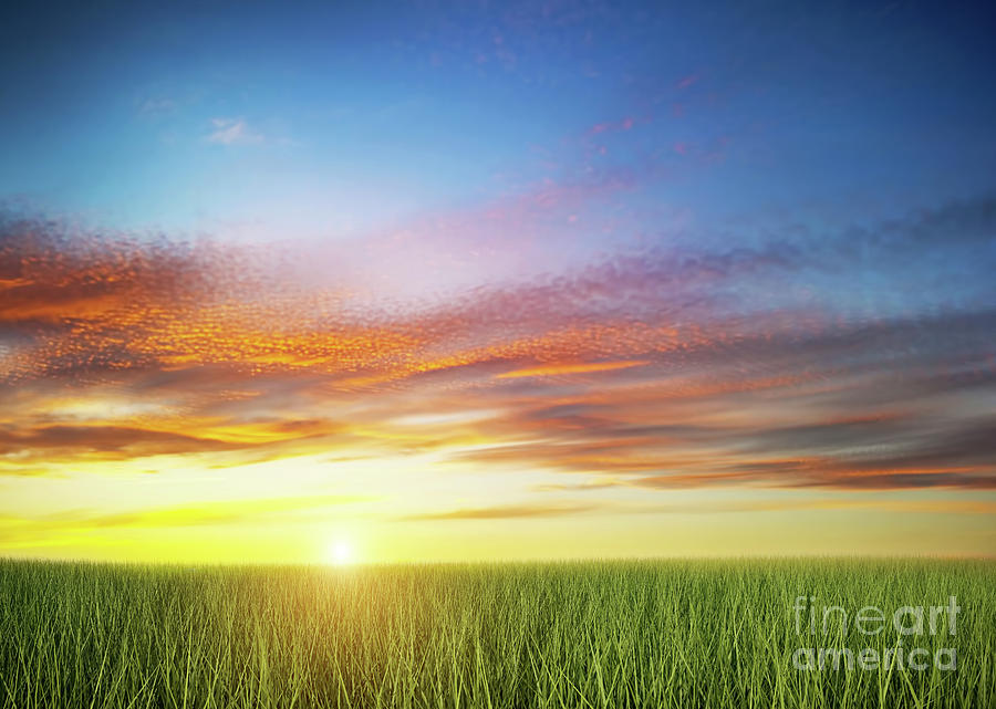 Green grass field under colorful sunset sky. Photograph by Michal Bednarek