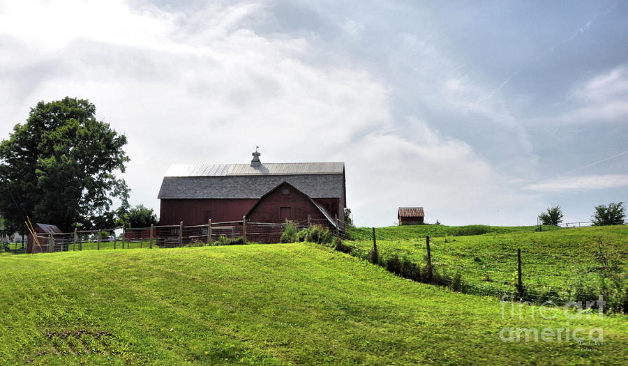 Green Green Grass Of Home Photograph by Wanda-Lynn Searles | Fine Art