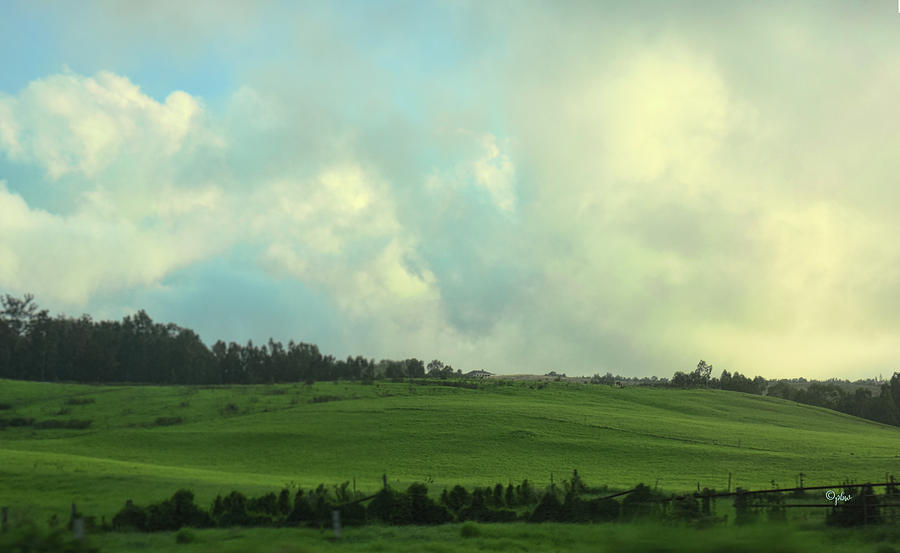 Green Green Hills of Maui Photograph by Paulette B Wright