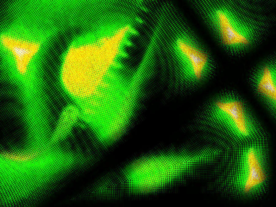 Green Guitar 5  Digital Art by The Lovelock experience