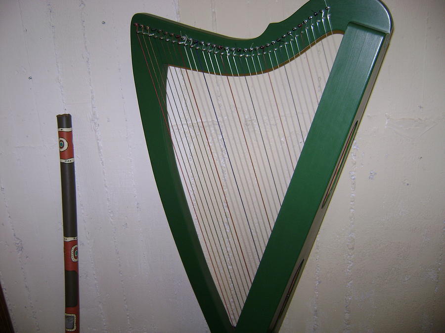 Green Harp Photograph by Moshe Harboun