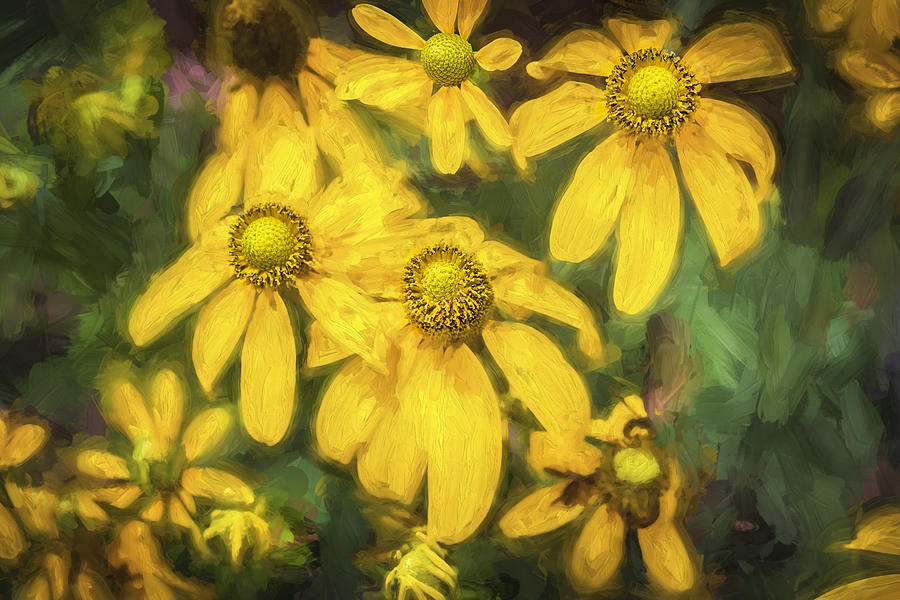 Green Headed Coneflowers Painted Photograph by Rich Franco