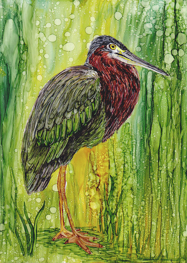 Wildlife Painting - Green Heron by Kim Gabriel