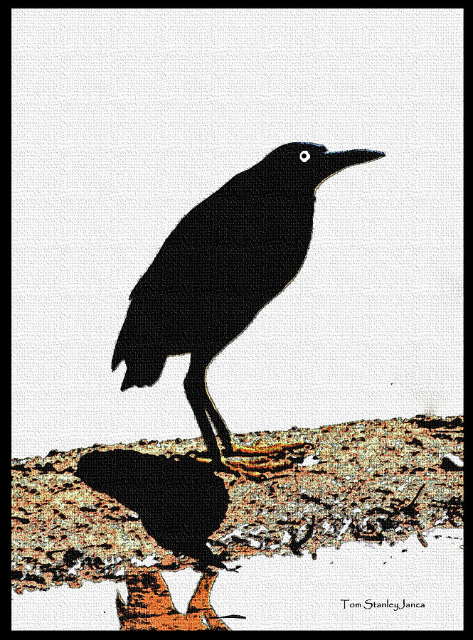 Green Herons Shadow Side Digital Art by Tom Janca