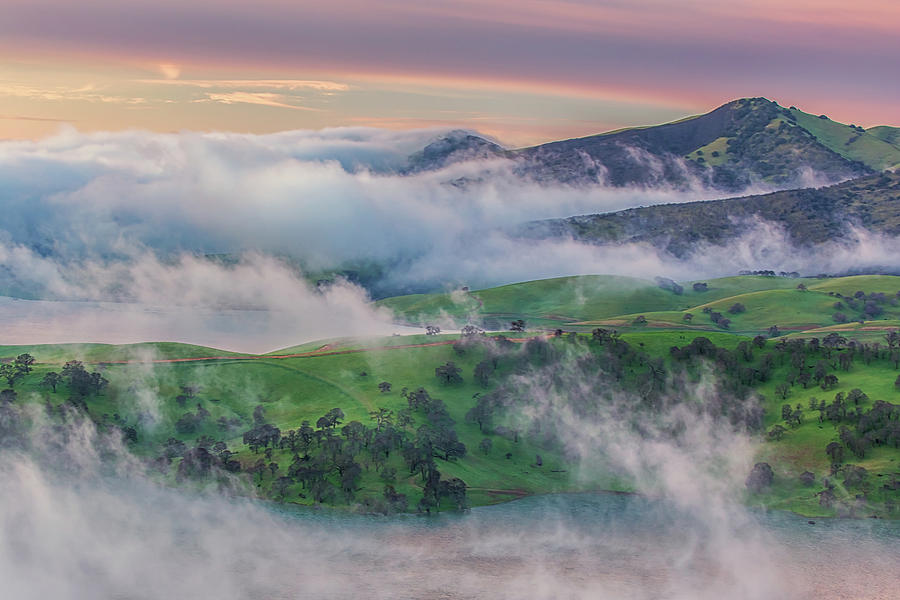 Green Hills and Fog at Sunrise Photograph by Marc Crumpler