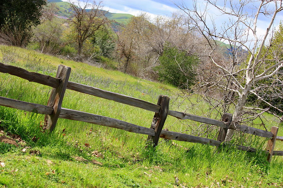 Green Hills and Rustic Fence Photograph by Carol Groenen