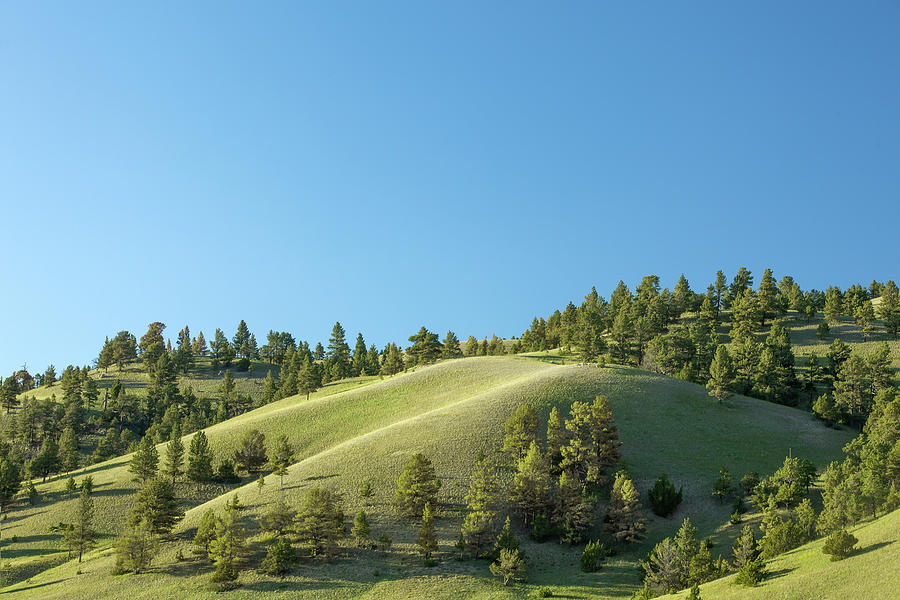 Spring Photograph - Green Hills by Todd Klassy