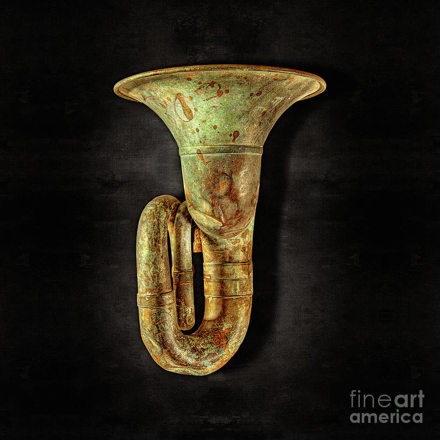 Still Life Photograph - Green Horn Up on Black by YoPedro