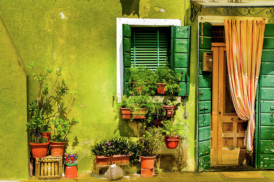 Green House Burano Italy Photograph by Xavier Cardell