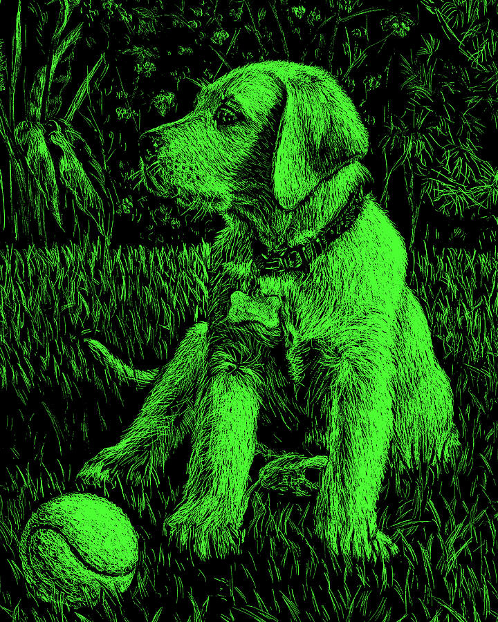 Green Labrador Puppy Dog Painting by Irina Sztukowski