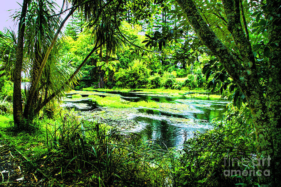Green Lagoon Photograph by Rick Bragan