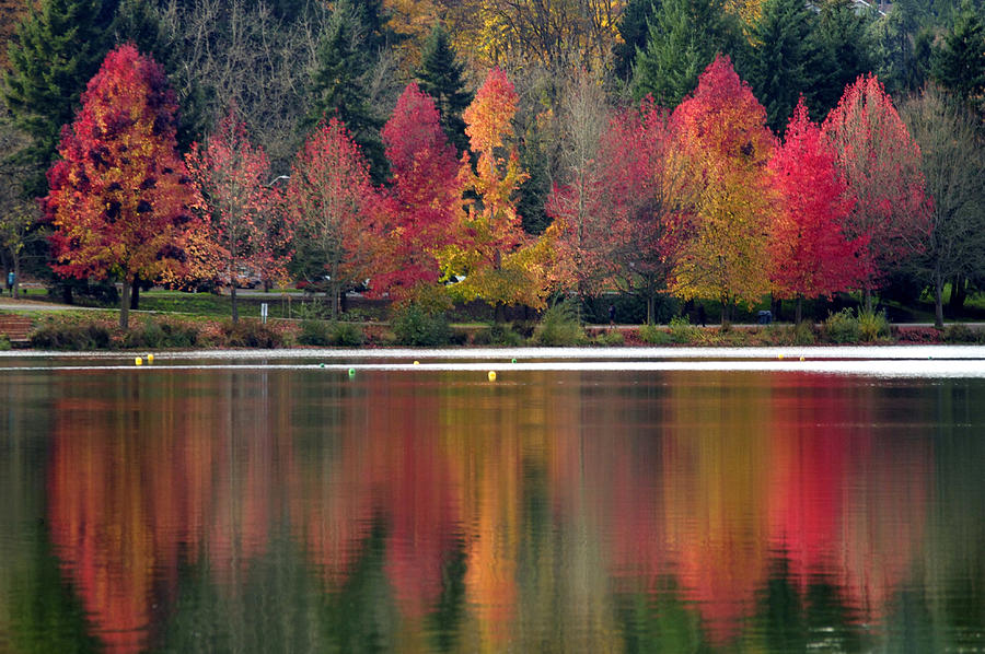 Green Lake Autumn Reflection Photograph by Emerita Wheeling