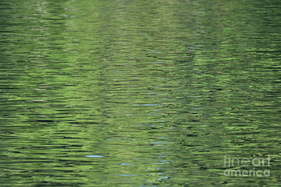 Green Lake Reflections Photograph by Sandra Huston