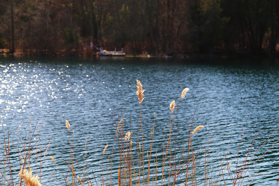 Green Lakes Spring 2 Photograph by David Stasiak