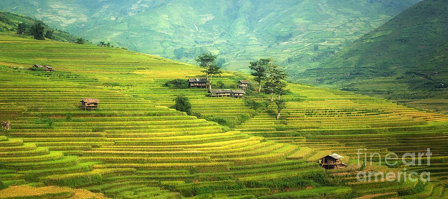 Rural Photograph - Green Land by Thomas Jones Rural Photograph - Green Land by Thomas Jones