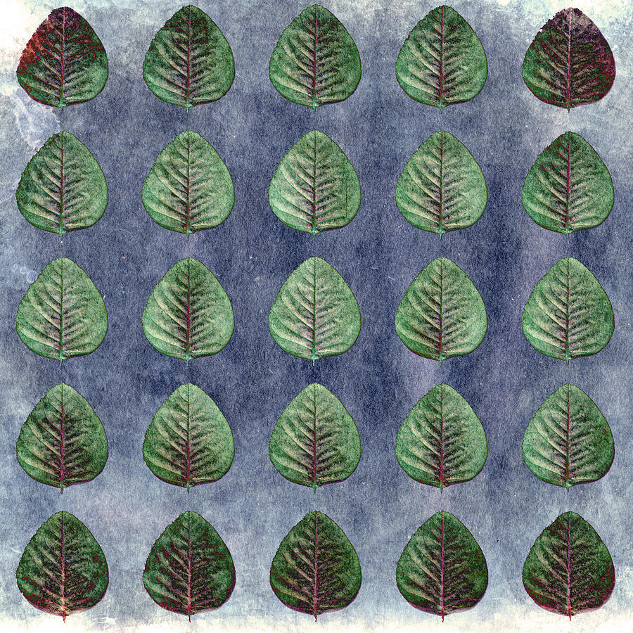 Green leaf collage Photograph by Sumit Mehndiratta