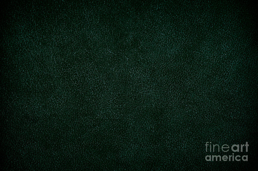 Green Leather Sheet Texture Abstract Photograph