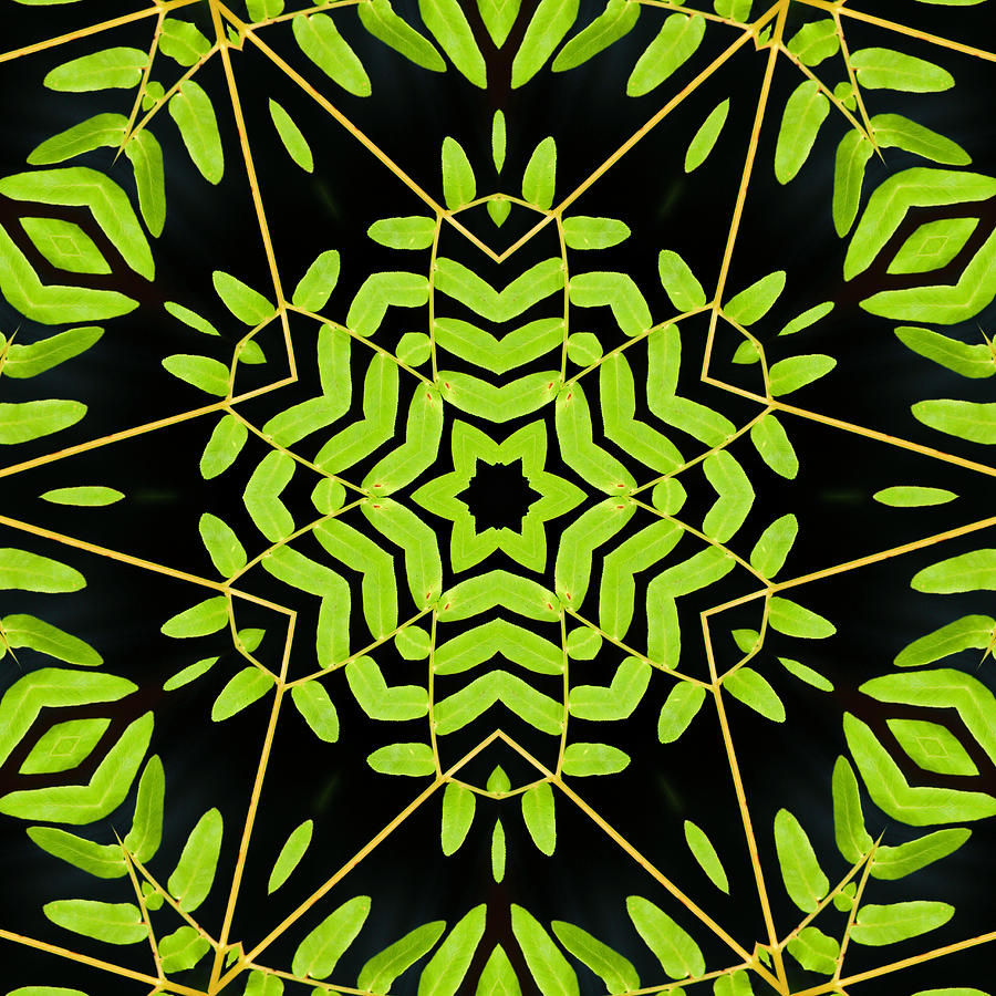 Green Leaves Kaleidoscope Photograph by Cindi Ressler