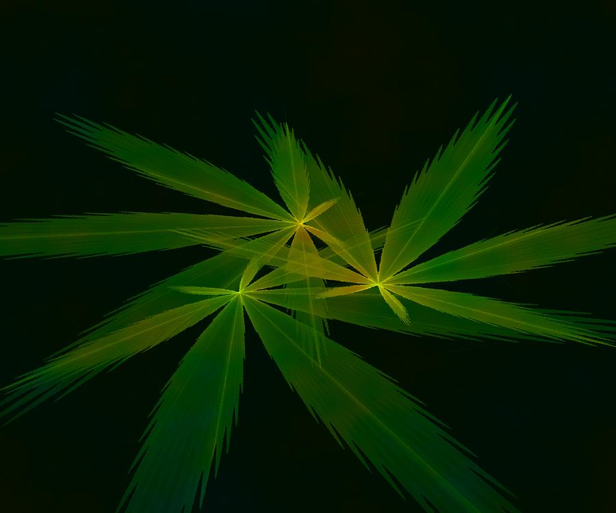 Green Leaves Digital Art