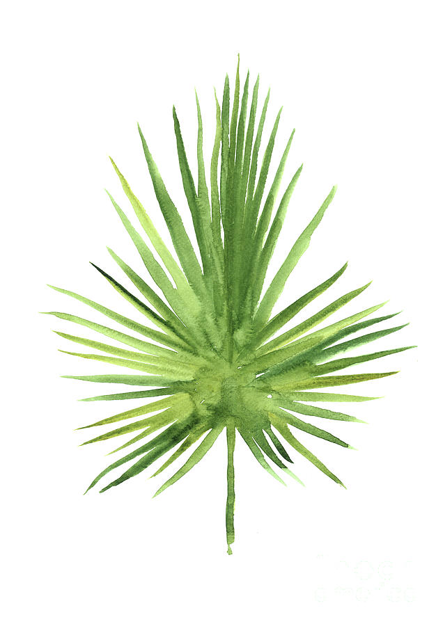 green leaves watercolor painting fan palm leaf tropical tree art print minimalist living room wall joanna szmerdt