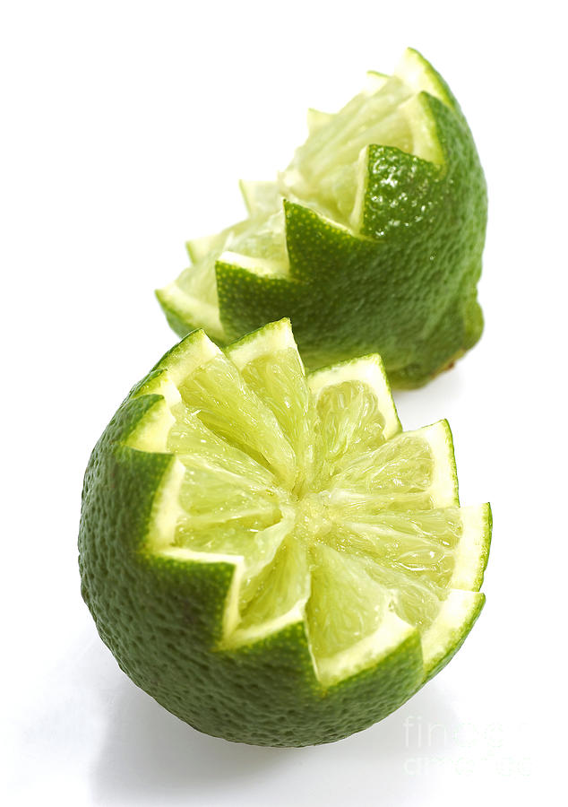 Green Lemon Citrus Limonum Photograph by Gerard Lacz