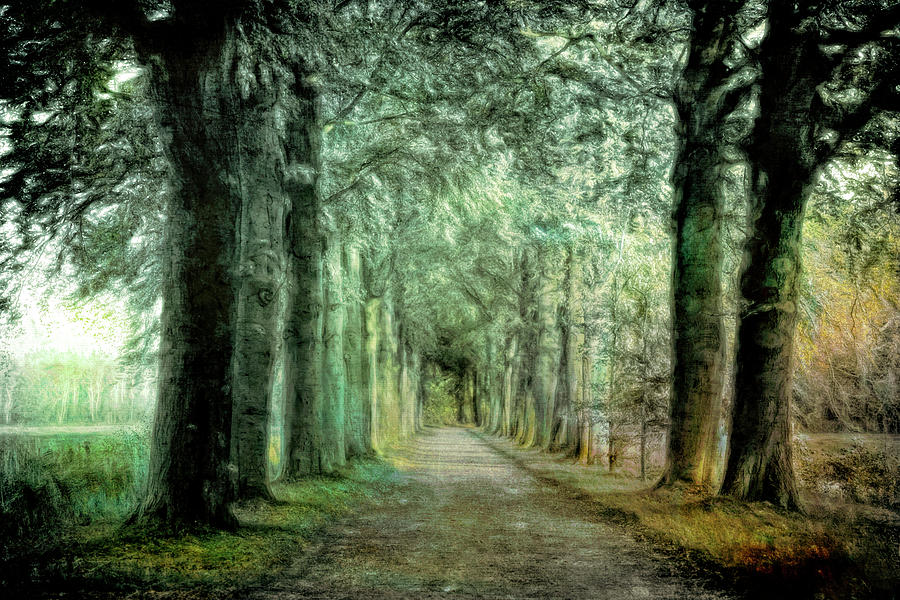 Green Magic by Annie Snel Green Magic by Annie Snel