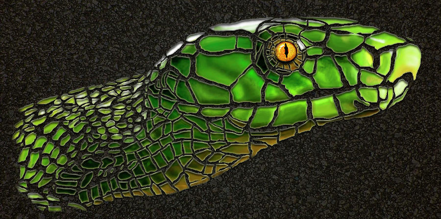 Green Mamba Snake Digital Art by Michael Cleere