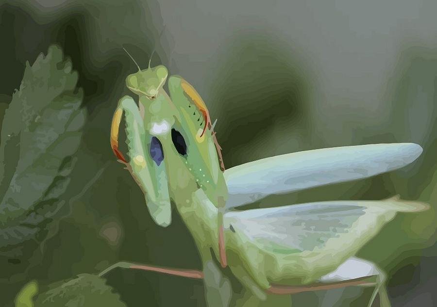Green Mantis With Garden Background Vector Photograph by Taiche Acrylic Art
