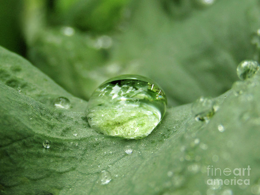 Green Marble Drop Photograph by Kim Tran