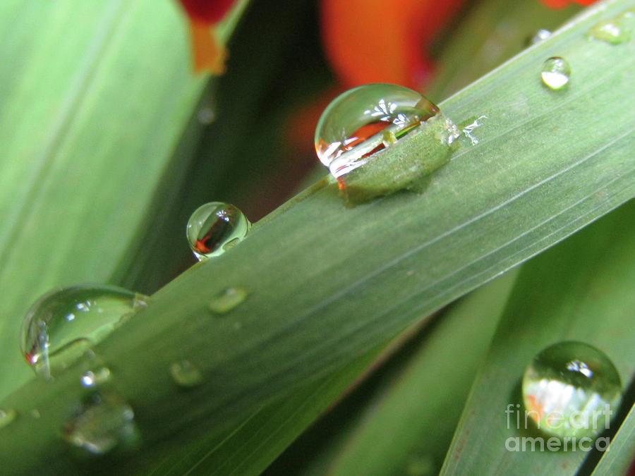 Green Marble Drops 2 Photograph by Kim Tran
