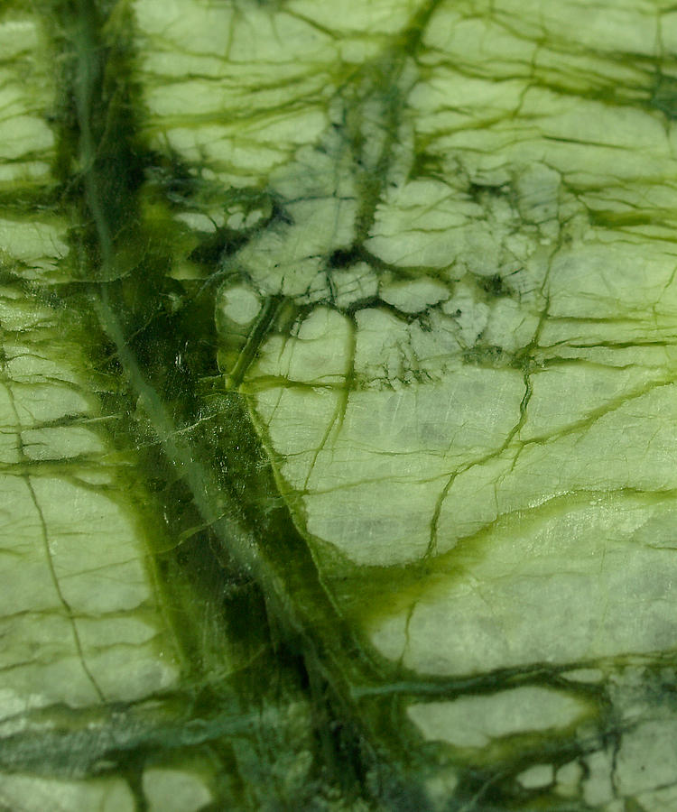 Green Marble Photograph by The Quarry